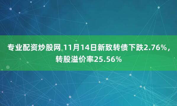 专业配资炒股网 11月14日新致转债下跌2.76%，转股溢价率25.56%