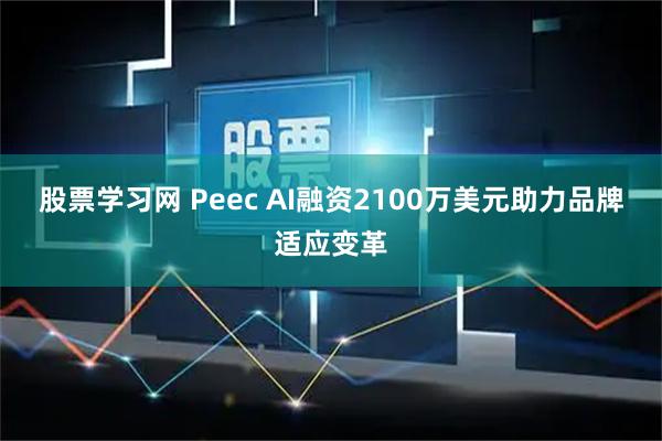 股票学习网 Peec AI融资2100万美元助力品牌适应变革